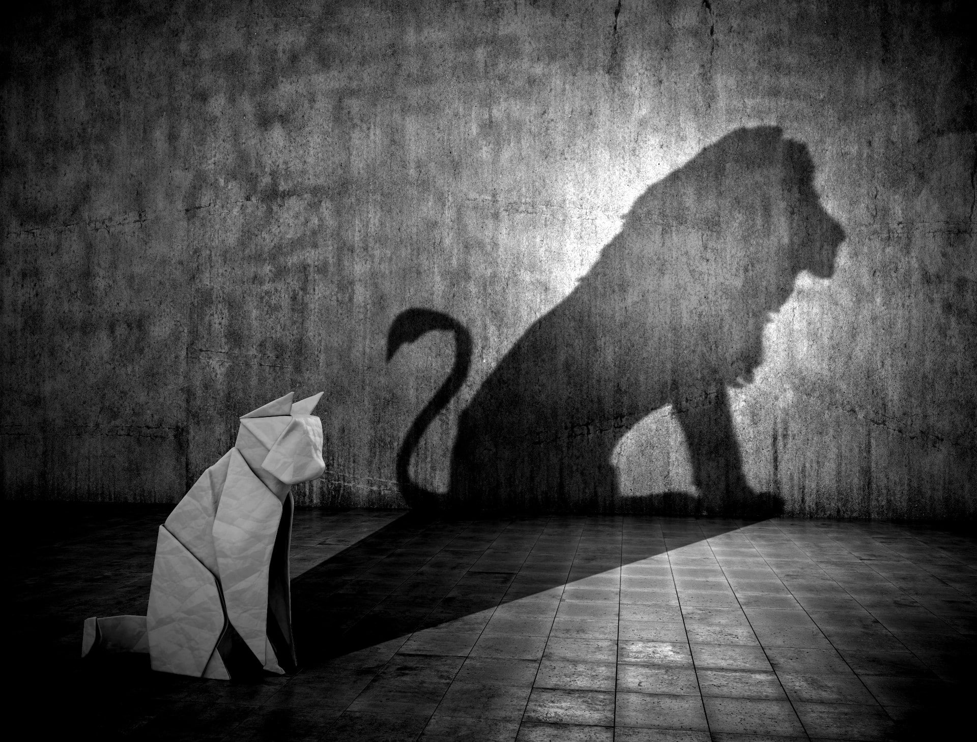 Cat as lion shadow
