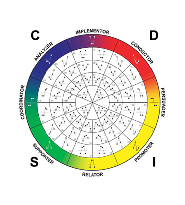 DISC Team Performance