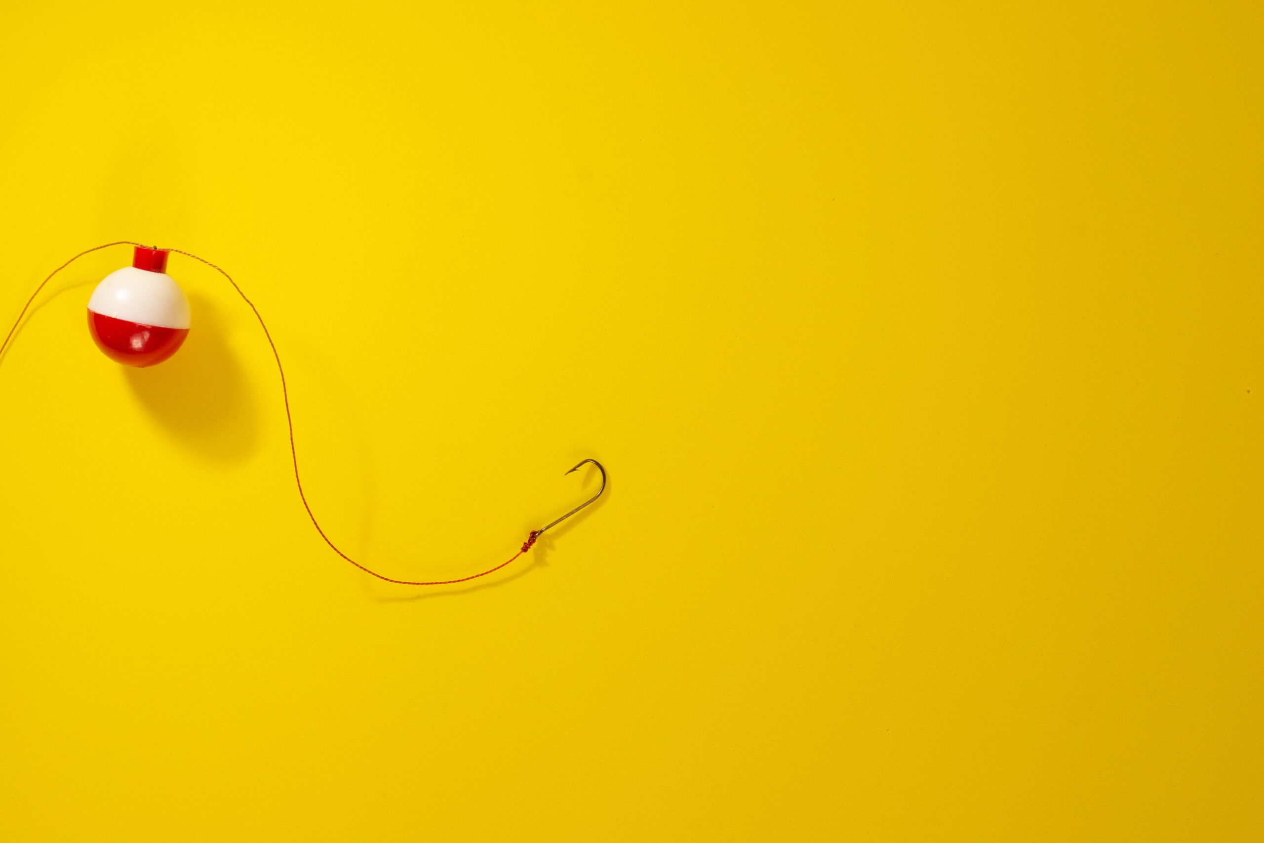 Fishing hook and float