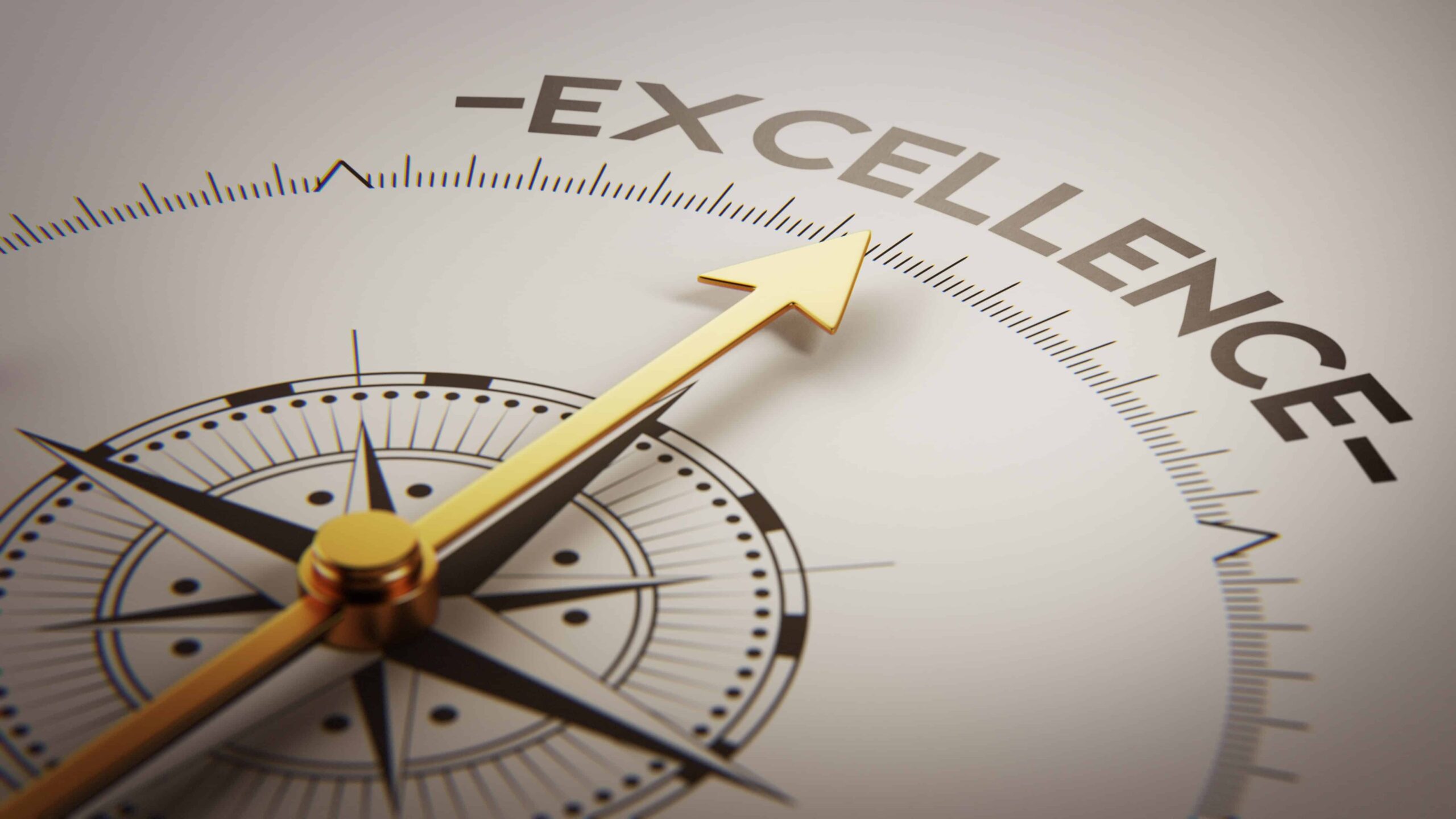 excellence-compass